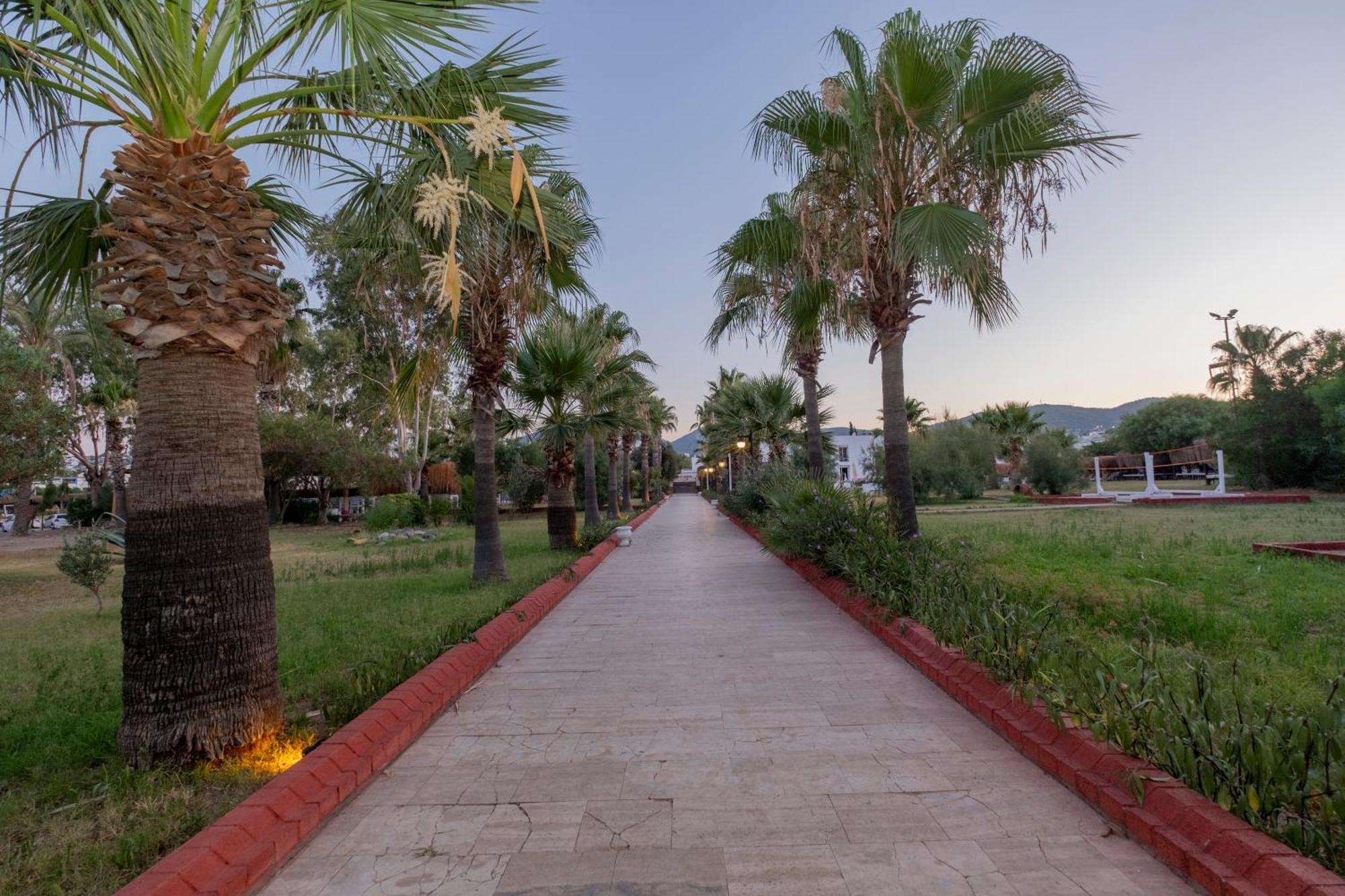 Ladonia Hotels Del Mare (Adults Only) Gümbet Kültér fotó